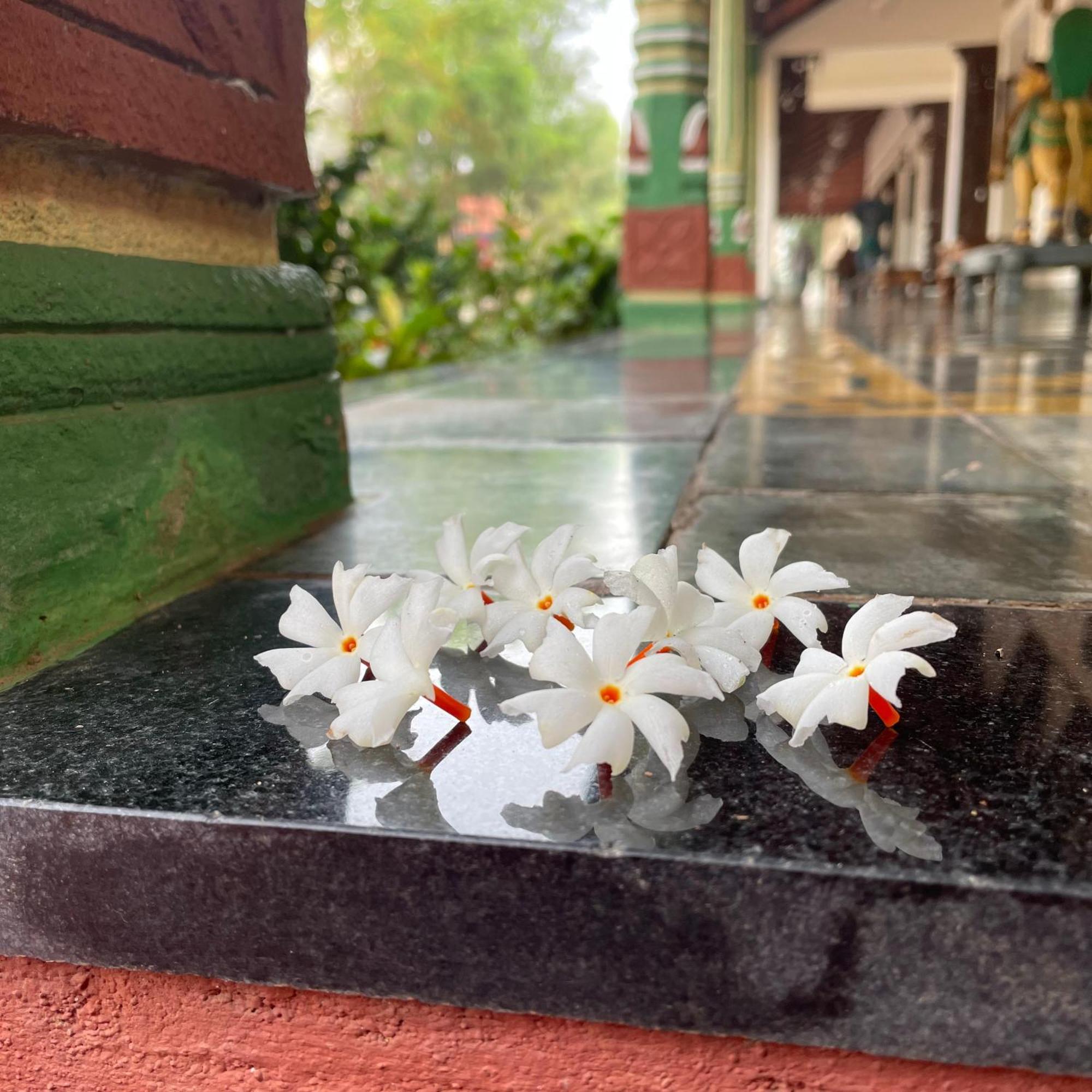 Marutham Village Resort Mahabalipuram Buitenkant foto