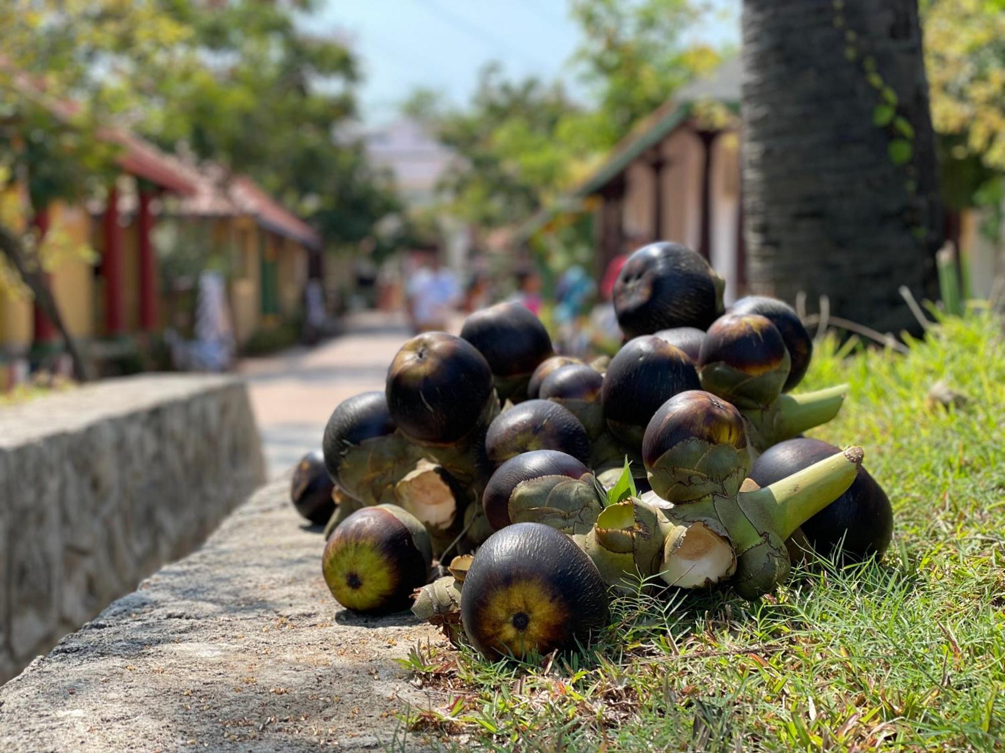 Marutham Village Resort Mahabalipuram Buitenkant foto